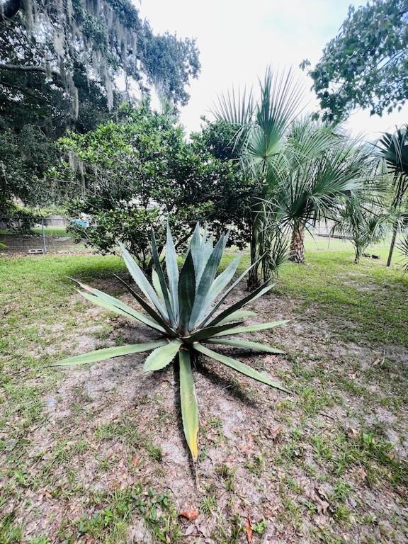 הוילה קריסטל ריבר House Of Shells, Beautiful Garden, Fenced Yard, Dog Friendly, Fire Pit! מראה חיצוני תמונה