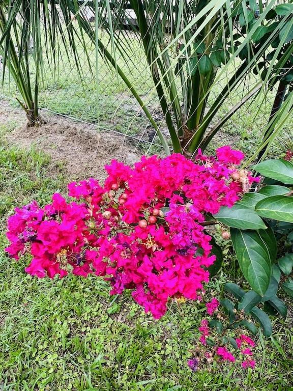 הוילה קריסטל ריבר House Of Shells, Beautiful Garden, Fenced Yard, Dog Friendly, Fire Pit! מראה חיצוני תמונה