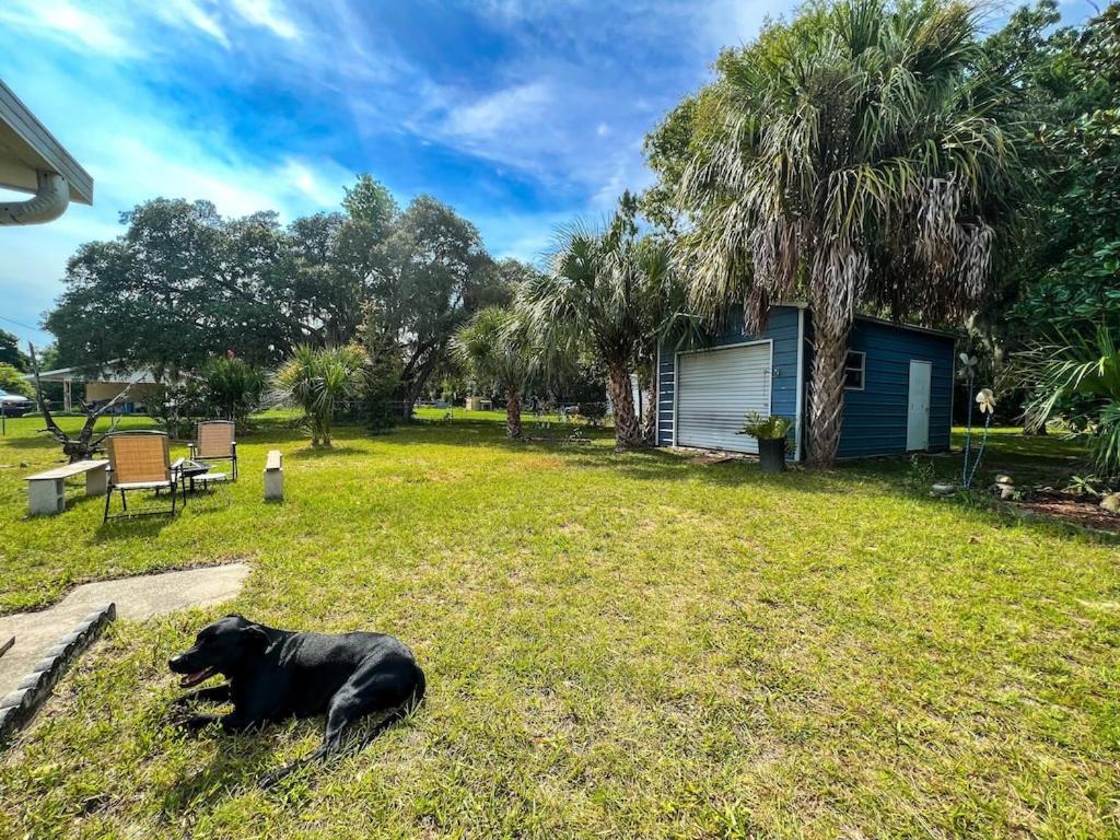 הוילה קריסטל ריבר House Of Shells, Beautiful Garden, Fenced Yard, Dog Friendly, Fire Pit! מראה חיצוני תמונה